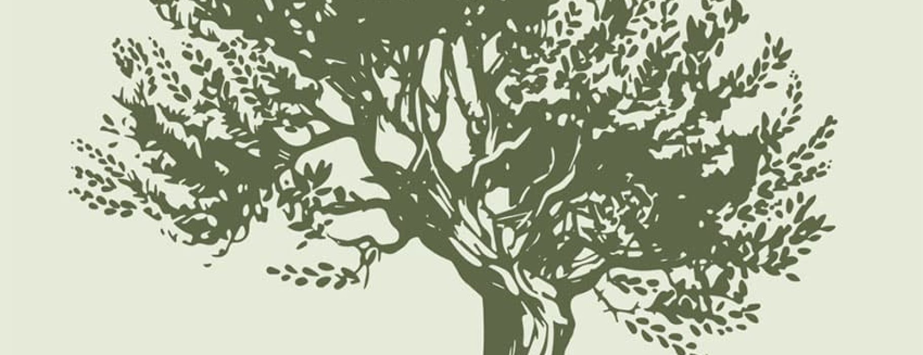 Woodcut-style illustration of an olive tree in solid green on a light green background.