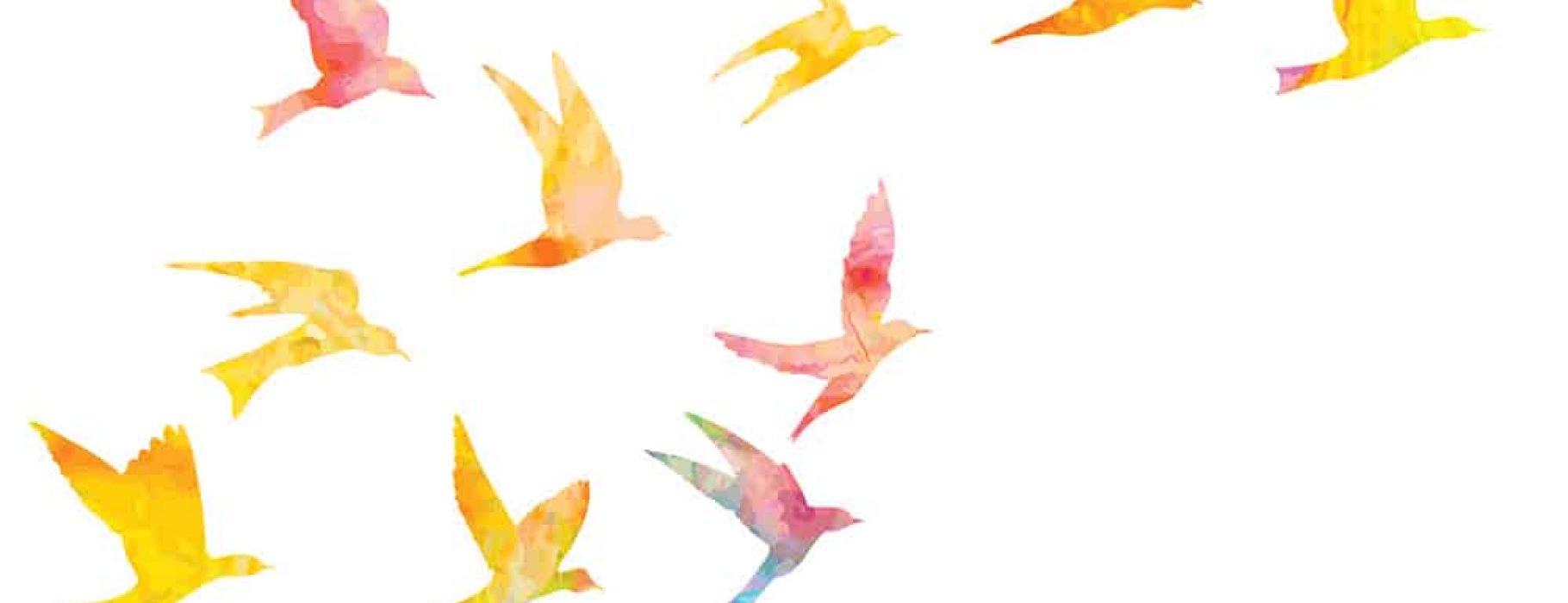 A flock of watercolor bird silhouettes in bright colors.