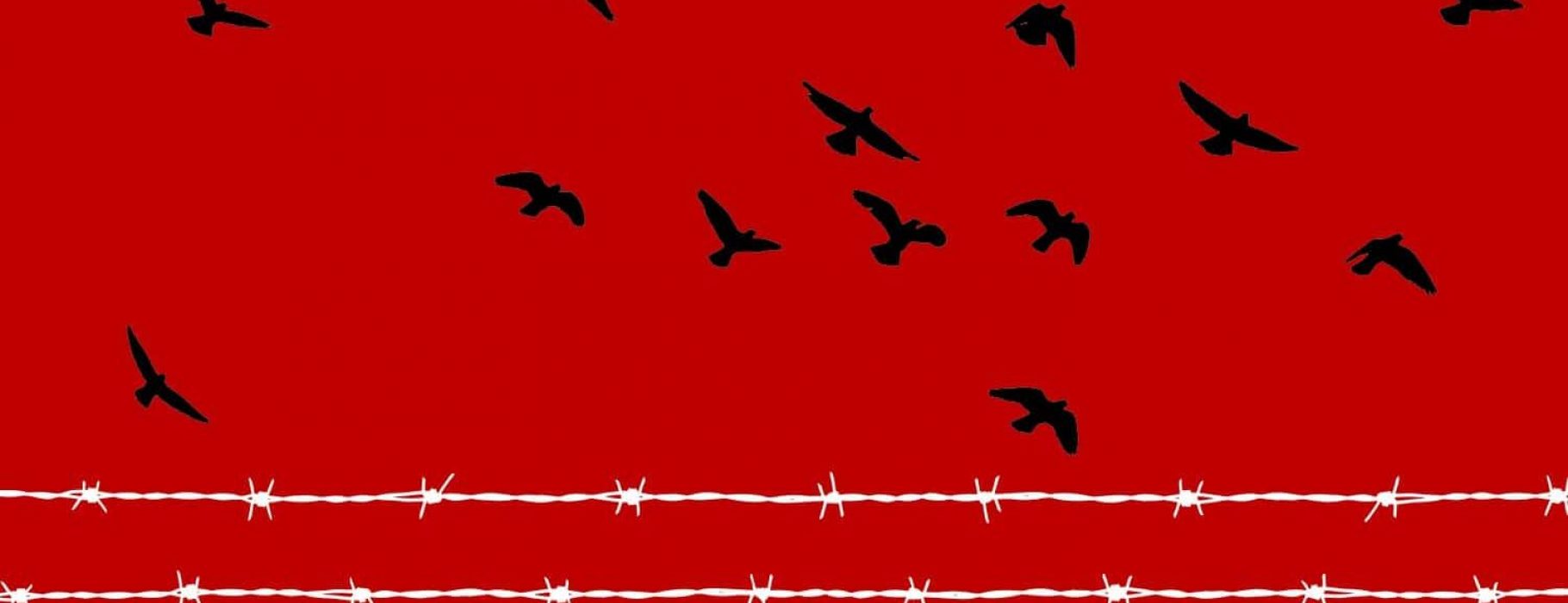 A minimalist illustration: black birds fly across a red sky over two lengths of white barbed wire
