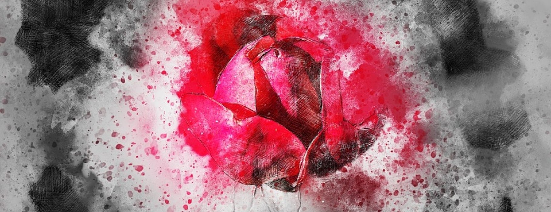 A red rose is breaking through a solid white/grey background