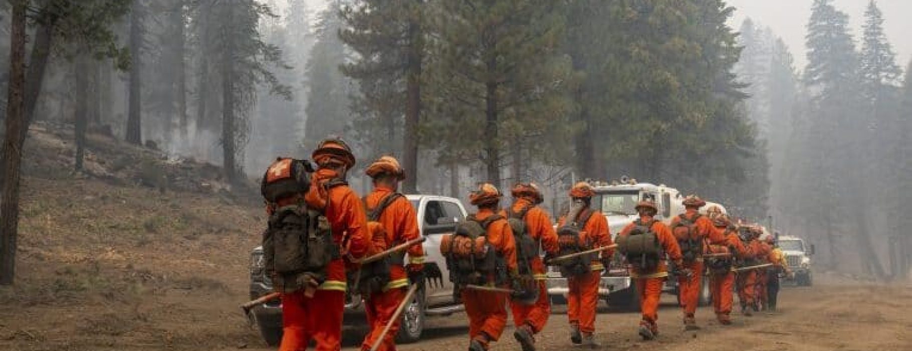 Firefighters at the Dixie Fire, Lassen National Forest, California. Public Domain via Flickr